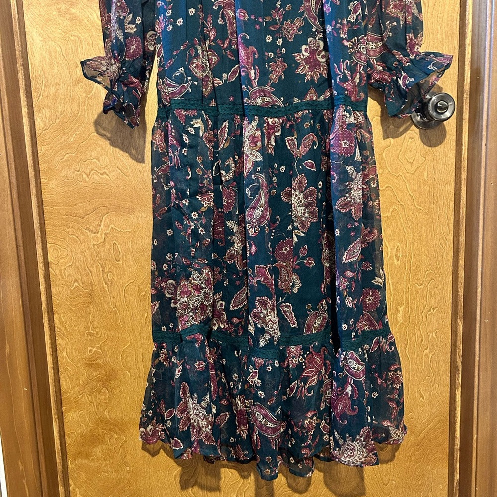 Band of the Free Run the World Pine Paisley Empire Waist Midi Dress - Size XS - Picture 8 of 13